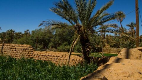 تقرير: الاستدامة المالية والاعتماد على التمويل الخارجي أبرز تحديات منظمات المجتمع المدني