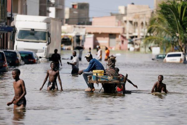 النيجر.. 23 قتيلا وعدد من الجرحى جراء الفيضانات