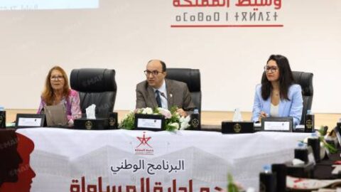 وسيط المملكة: المساواة الإدارية رهينة يقظة المشرع والتزام الإدارة بالدستور