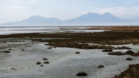 إيران تباشر عمليات تلقيح سحب في ظل الجفاف الحاد