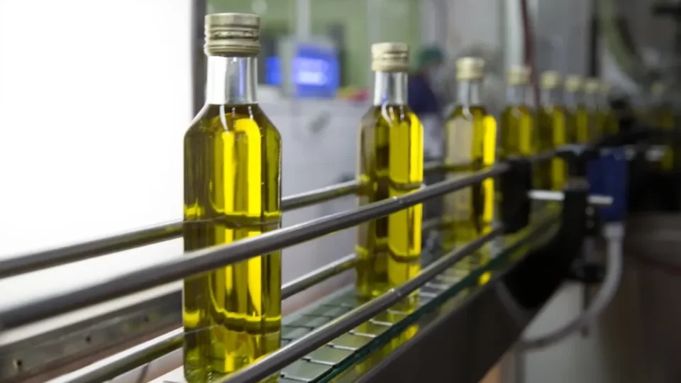 مهنيو قطاع زيت الزيتون ينفون إعادة أي شحنة مغربية من أوروبا