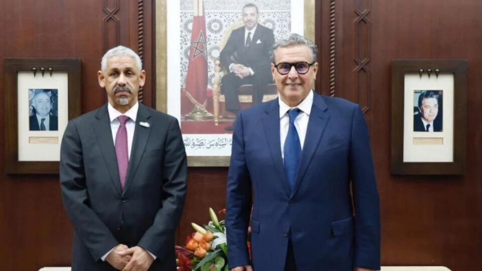 أخنوش يتباحث بالرباط مع رئيس مجموعة البنك الإفريقي للتنمية