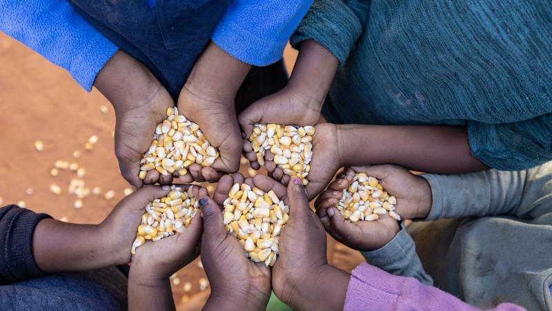 الأمم المتحدة تحذر من مخاطر تفاقم انعدام الأمن الغذائي في 16 دولة