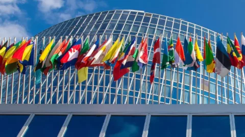 منظمة: تسجيل أرقام قياسية لطلبات حقوق الملكية الفكرية سنة 2024