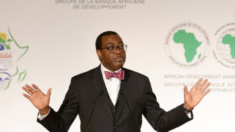 رئيس البنك الإفريقي للتنمية يدعو إلى تعزيز التعاون بين الأفارقة