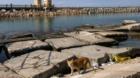 علماء يعثرون على حطام سفينة قديمة قرب الإسكندرية