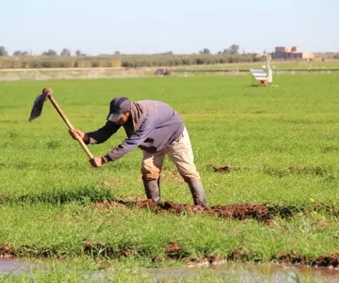أمطار الخير.. انفراج مائي يعاكسه لهيب الأسواق وواقع الخسائر الميدانية