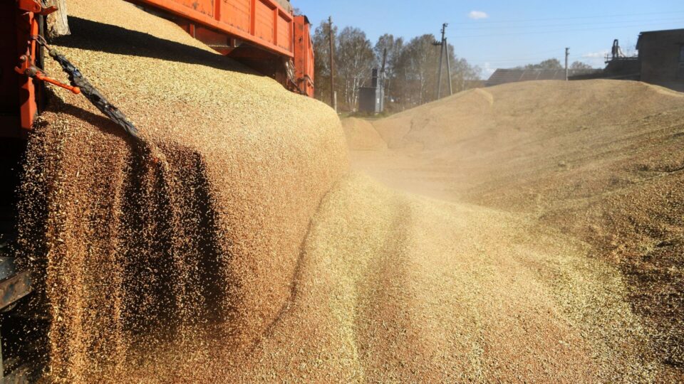 أرقام قياسية تضعه في صدارة المستوردين.. لماذا تراجع إنتاج الحبوب في المغرب؟