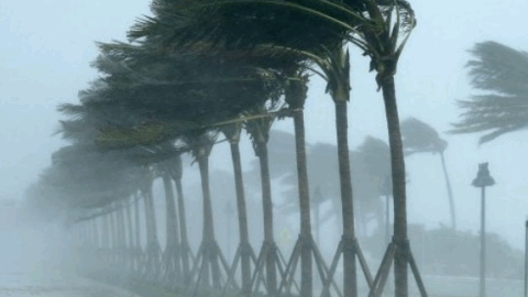 نشرة إنذارية.. تساقطات ثلجية وهبات رياح قوية الأربعاء