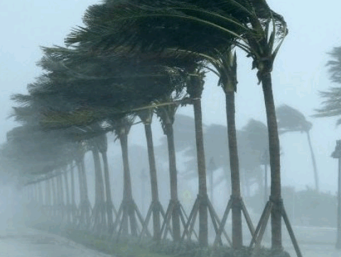 نشرة إنذارية.. زخات رعدية وتساقطات ثلجية وهبات رياح يومي الأحد والاثنين