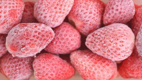 المغرب يحقق رقما قياسيا جديدا في صادراته من التوت المجمد إلى فرنسا