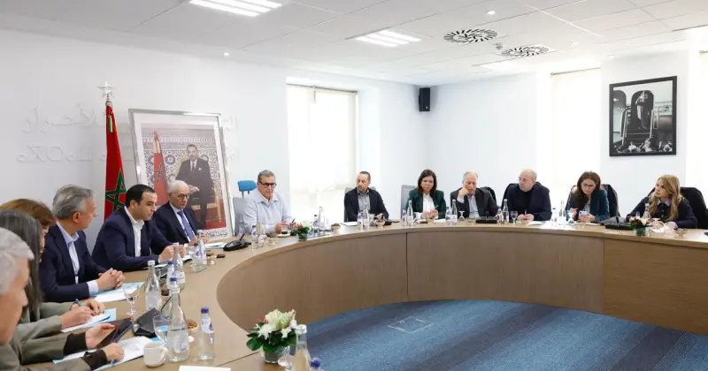 حزب التجمع الوطني للأحرار يعلن فتح باب الترشيحات لخلافة أخنوش