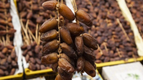 مع اقتراب رمضان.. مهني: أسعار التمور ستعود إلى مستوياتها الطبيعية بعد ارتفاع طفيف