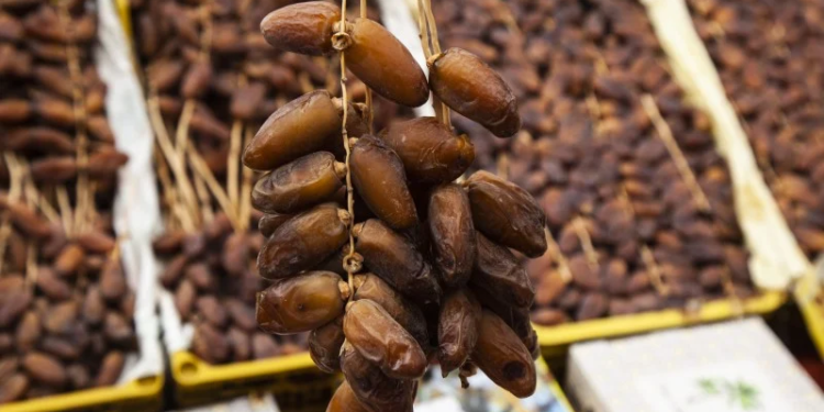 مع اقتراب رمضان.. مهني: أسعار التمور ستعود إلى مستوياتها الطبيعية بعد ارتفاع طفيف