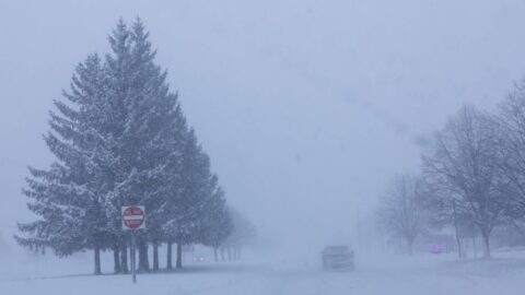 عاصفة ثلجية قوية مرتقبة في العديد من الولايات الأمريكية