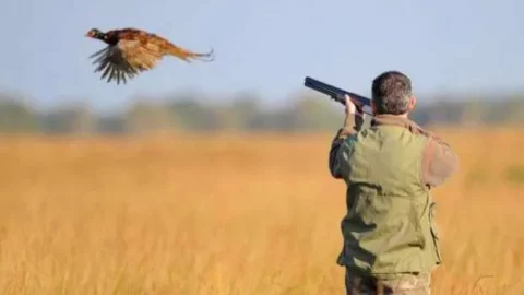 الوكالة الوطنية للمياه والغابات تعلن نهاية فترة قنص الطرائد المستقرة