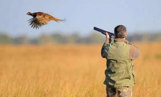 الوكالة الوطنية للمياه والغابات تعلن نهاية فترة قنص الطرائد المستقرة