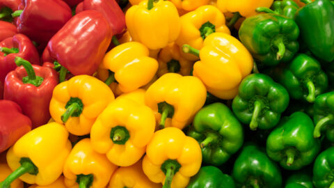 المغرب يحقق رقما قياسيا في صادراته من الفلفل الحلو إلى ألمانيا