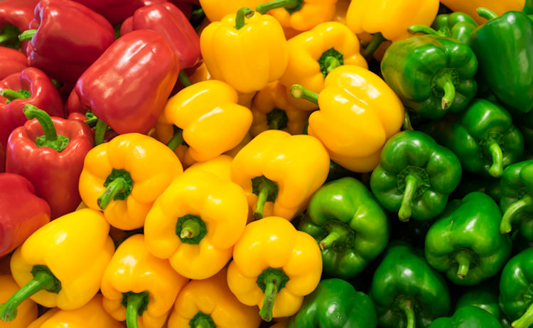 المغرب يحقق رقما قياسيا في صادراته من الفلفل الحلو إلى ألمانيا