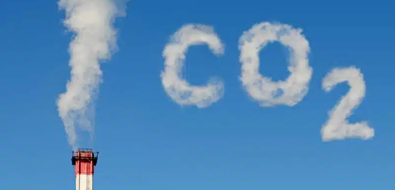 استقصاء: 70% من المقاولات الصغيرة والمتوسطة بالمغرب منخرطة في مسار إزالة الكربون