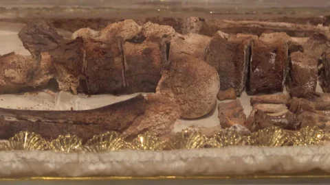 عرض رفات القديس فرنسيس في إيطاليا