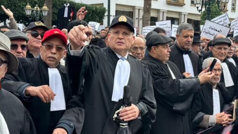 الزياني: لا يمكن أن نقبل بقانون يضعف ويقوض أركان مهنة المحاماة