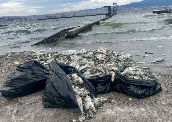 ليما تغلق أحد أشهر شواطئها بسبب التلوث