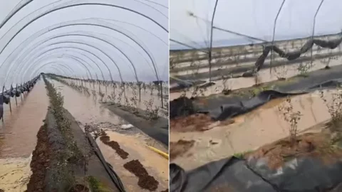 الفيضانات تنهي موسم عدد من منتجي الفواكه الحمراء في المغرب بشكل مبكر