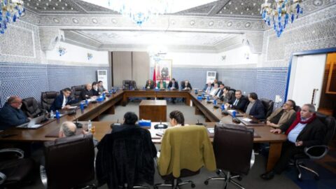 بوادر خلاف داخل الأغلبية بسبب قانون المحاماة.. “البام” يتهم جهات بإجهاض الوساطة البرلمانية وينتصر لوهبي