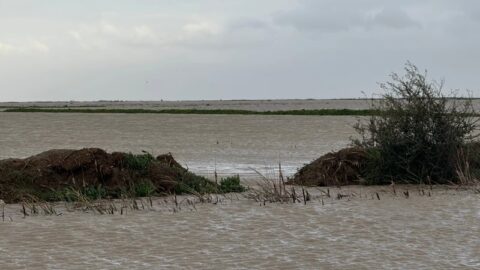 سلطات سيدي قاسم تشرع في تدبير عودة الساكنة التي جرى إجلاؤها بسبب الفيضانات