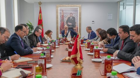 وسيط المملكة يعيد تنظيم عمل التمثيليات الجهوية والمحلية