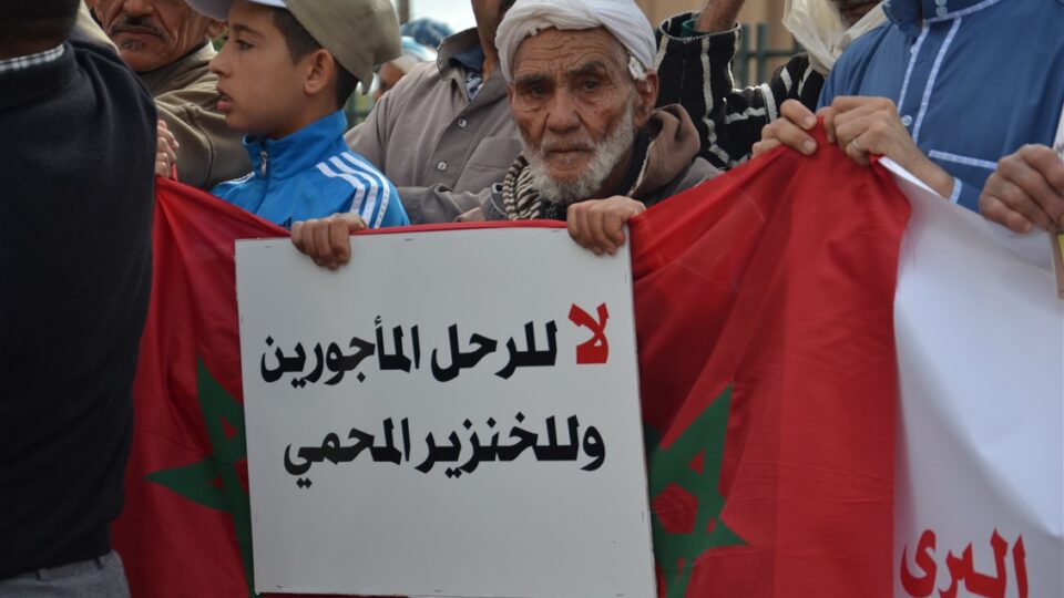 “أكال” تدعو لحماية شجر الأركان من الرعي الاستثماري