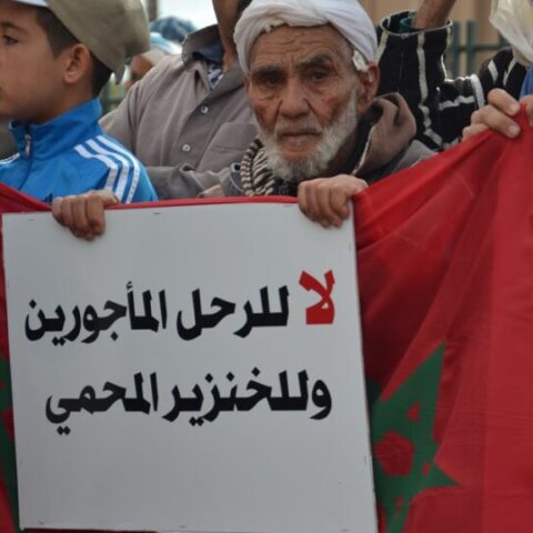 تنسيقية تحتج أمام البرلمان ضد “الرعي الاستثماري”