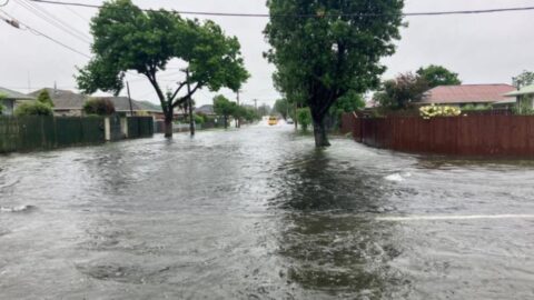 إجلاء آلاف السكان في نيوزيلندا مع اقتراب الإعصار “فايانو”