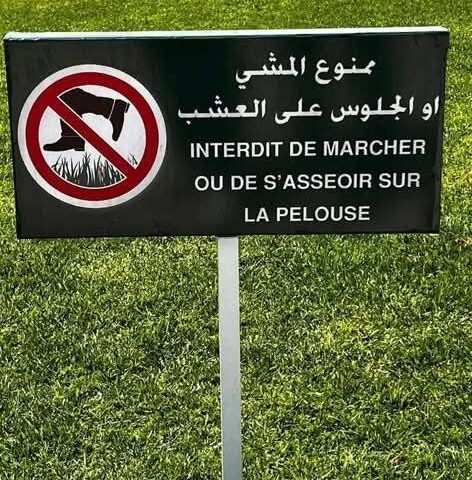 منع الجلوس فوق عشب الرباط يثير الجدل.. والحياني: العاصمة ليست “صالون ضيوف”