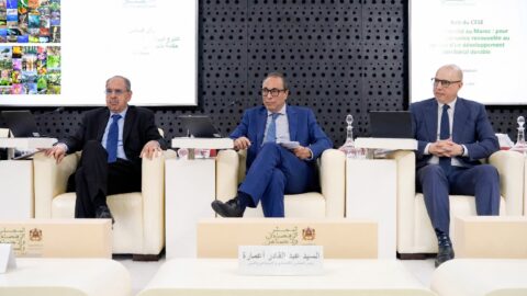المجلس الاقتصادي: المغرب فقد 75% من أصناف حبوبه المحلية