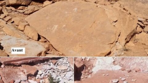 اختفاء مسار نادر للتيروصورات قرب ميدلت يثير المخاوف حول حماية التراث الجيولوجي