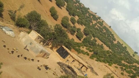 في “بيودمومة”.. الكهرباء ليست رفاهية بل طوق نجاة لمرضى وأسر معزولة