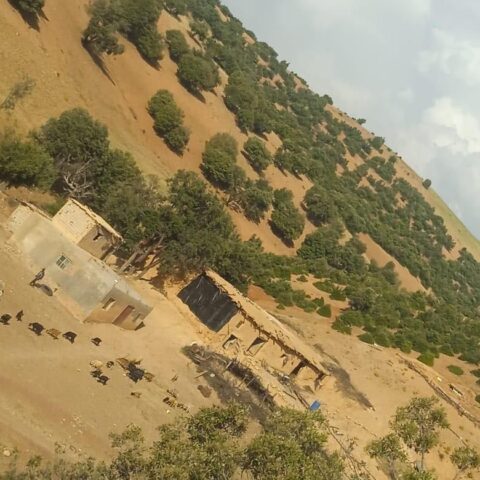 في “بيودمومة”.. الكهرباء ليست رفاهية بل طوق نجاة لمرضى وأسر معزولة