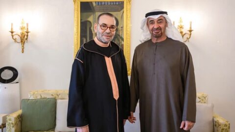 الملك محمد السادس يستقبل رئيس دولة الإمارات العربية