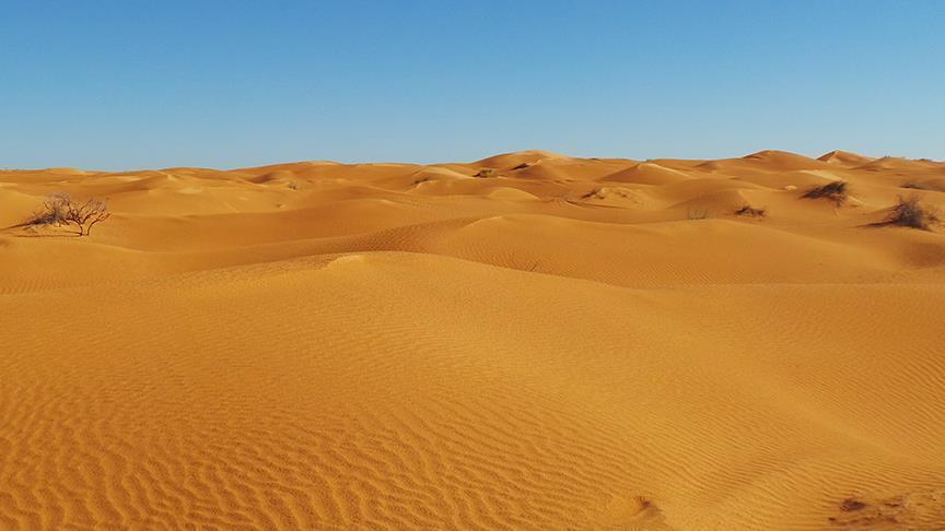 49 شخصا يموتون عطشا في صحراء النيجر بعد تعطل شاحنتهم