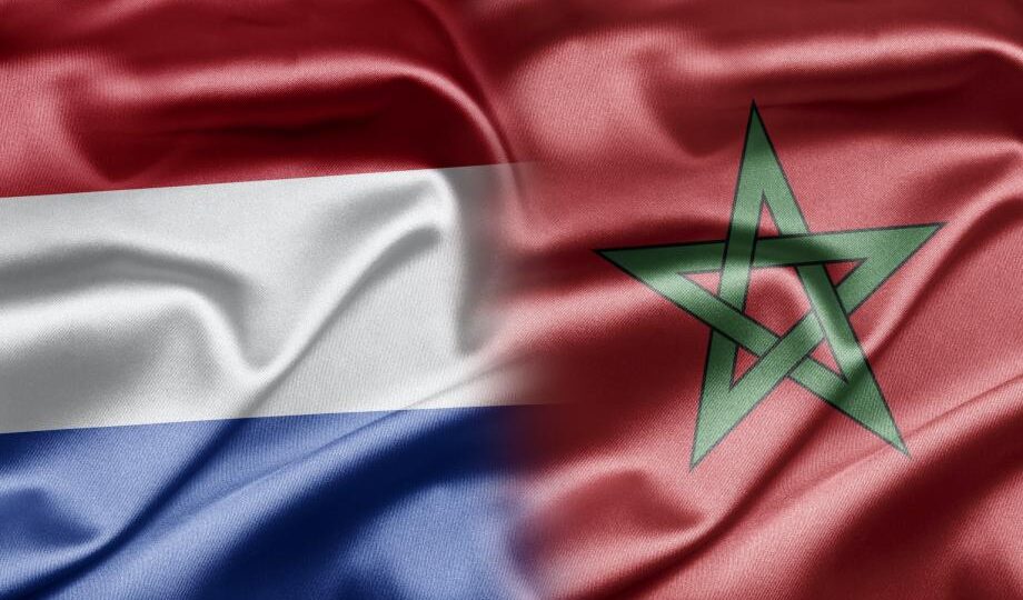 أسود الأطلس أمام اختبار هولندي.. صداقة خارج الملعب وصراع على بطاقة العبور
