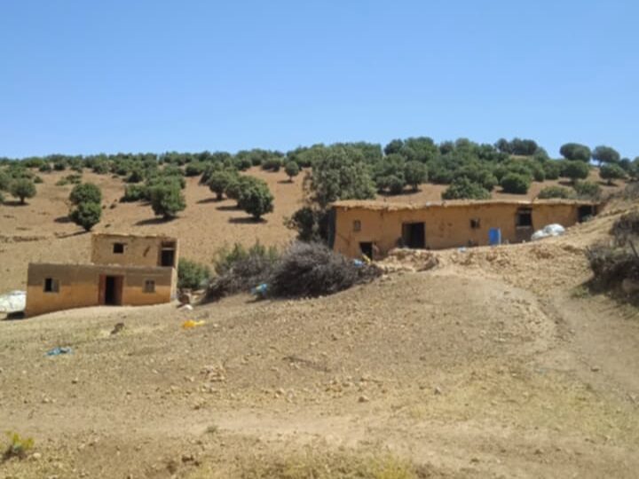في “بيودمومة”.. الكهرباء ليست رفاهية بل طوق نجاة لمرضى وأسر معزولة