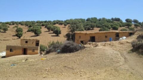 في “بيودمومة”.. الكهرباء ليست رفاهية بل طوق نجاة لمرضى وأسر معزولة