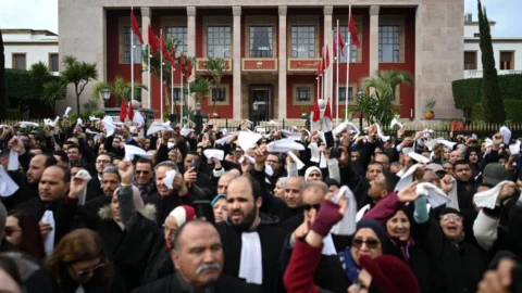 القانون الجديد للمحاماة.. من بداية الأزمة إلى دخول النص حيز التنفيذ