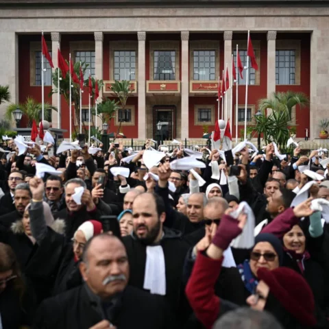 القانون الجديد للمحاماة.. من بداية الأزمة إلى دخول النص حيز التنفيذ