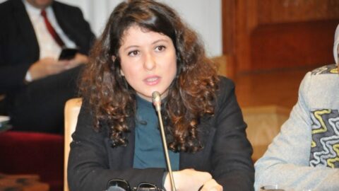 قراءة عرضانية في نتائج انتخابات 2026 ودلالاتها السياسية