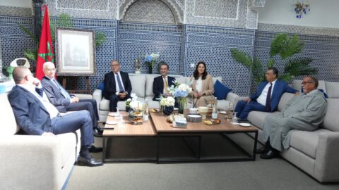 المنصوري تستسهل مشاورات تشكيل الأغلبية الحكومية بحضور فوزي لقجع
