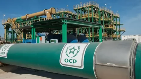 OCP يوقع اتفاقا لتأمين 3.8 ملايين طن من الأسمدة للبرازيل