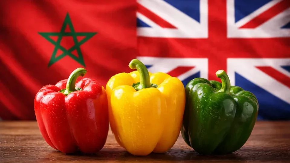 بقيمة تتجاوز 210 مليون درهم.. صادرات المغرب من الفلفل الحلو إلى بريطانيا تقفز ب60%